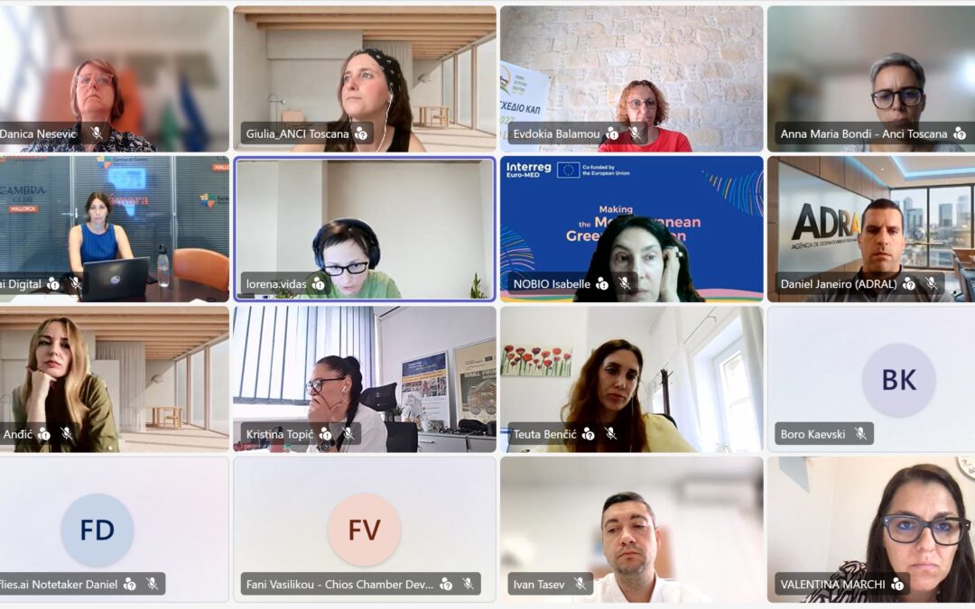 REVIVE Transfer Phase Officially Launched with Introductory Online Meeting