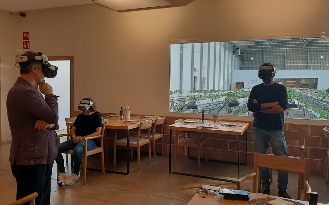 Discover Pla de Mallorca with Our Immersive VR Video Experiences