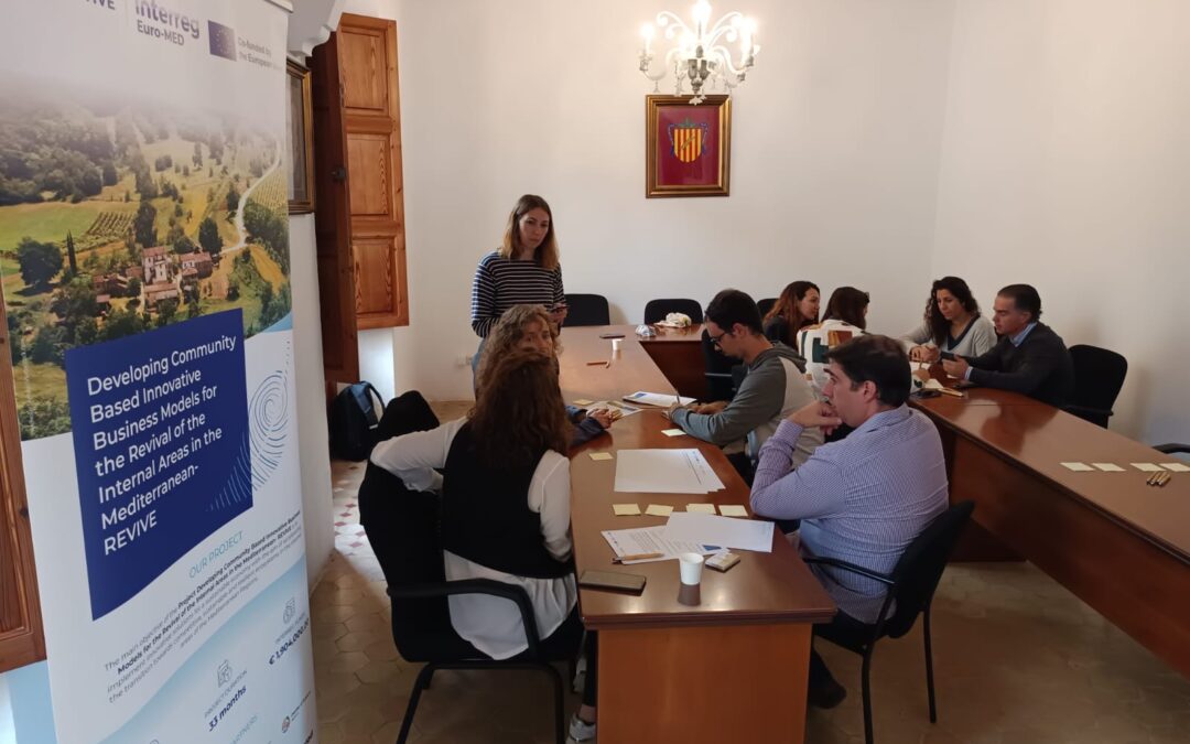 Second REVIVE Project Meeting in Pla de Mallorca