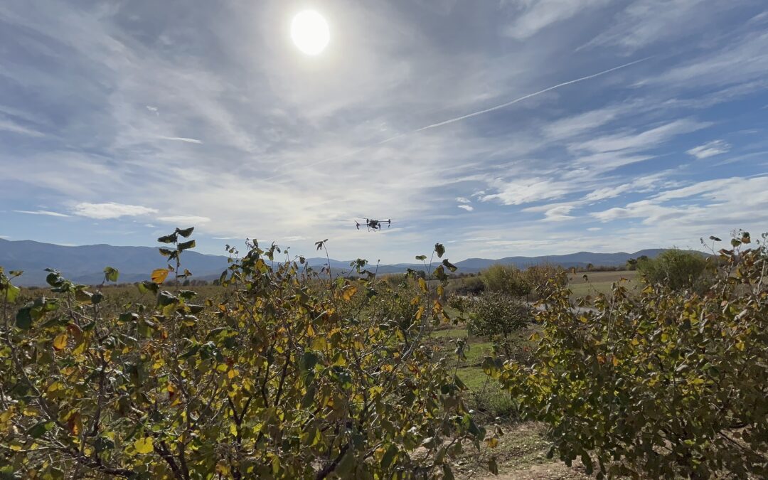 Modern agriculture with drones