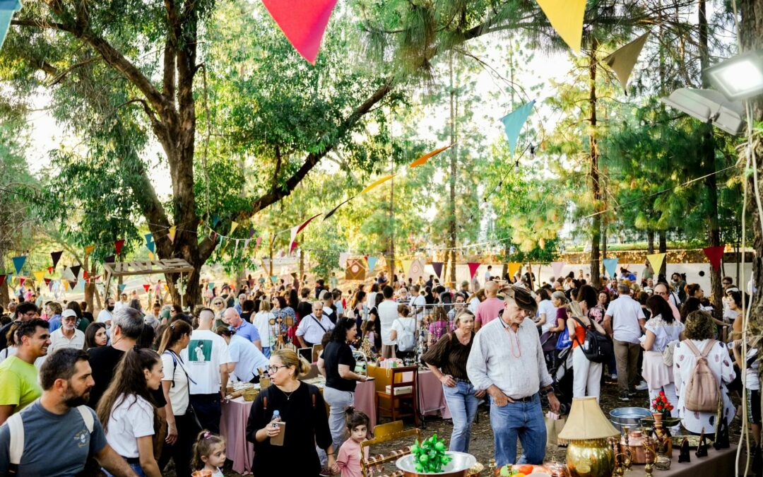 ANETEL and REVIVE at the Renaissance Fair 2024 at Pyrga, Cyprus