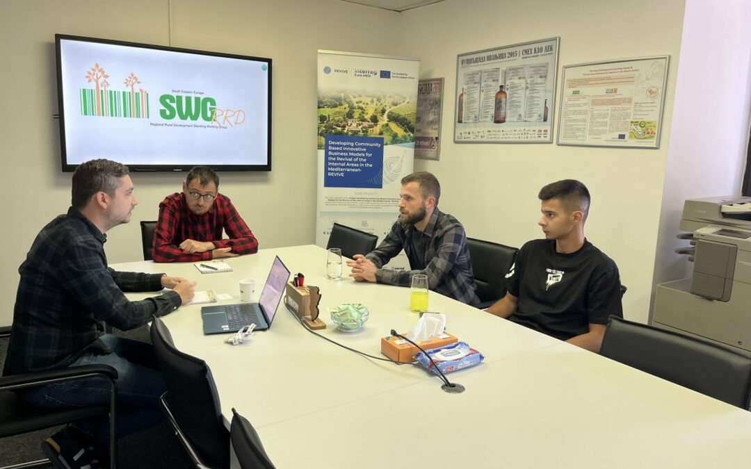 Involvement of young entrepreneurs from North Macedonia into REVIVE project activities